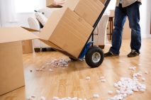 Man with a Van Services vs Removals Company