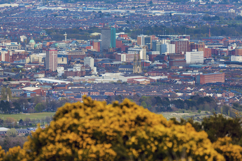 Moving house moving companies